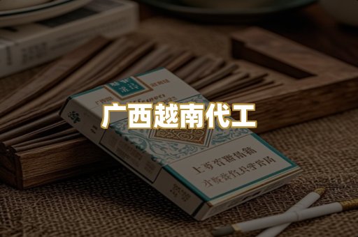 广西越南代工